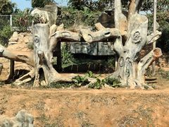 -海南热带野生动植物园