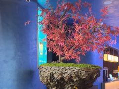 -1718海鲜姿造(苏宁宴请臻选店)