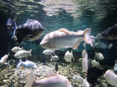 -成都浩海立方海洋公园