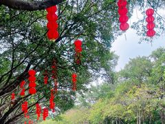 -广州莲花山旅游区