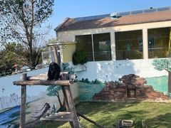 -西霞口神雕山野生动物世界