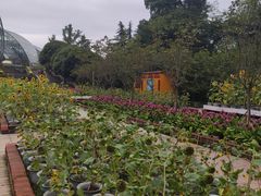 -南山植物园