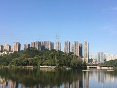 -重庆彩云湖湿地公园