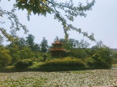 -四川大学(望江校区)