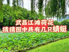 -武昌江滩