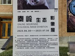 -西安电影制片厂