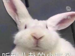 -叶子与茶(连云港苏宁店)