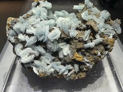 -湖南省地质博物馆