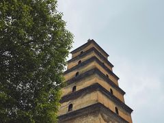 -大慈恩寺(大雁塔)
