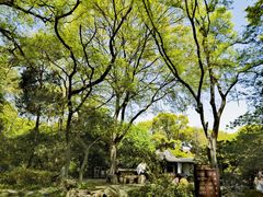 -惠山古镇·寄畅园