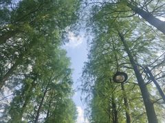 -东湖生态旅游风景区