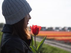 -库肯霍夫公园