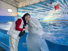 -蓬莱欧乐堡海洋极地世界