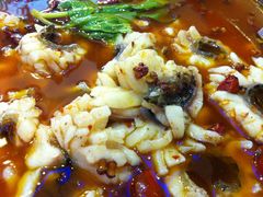 -重庆乌鱼庄·龙滋鲜(青羊大道店)