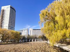 -青城公园