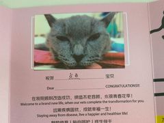 -艾贝尔宠物医院·24H转诊中心·肿瘤猫专科(江宁双龙店)
