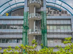 -香港大学