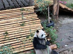-黔灵山公园-南门售票处