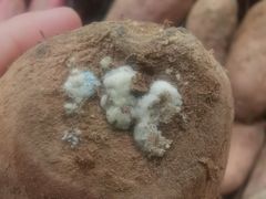 -永辉超市(富春新天地店)