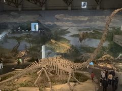 -自贡恐龙博物馆