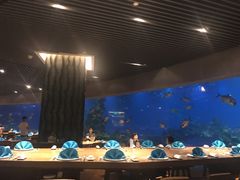 -海棠湾洲际-涛·海底餐厅·美人鱼·自助餐·海底隧道
