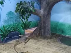 -石家庄市动物园