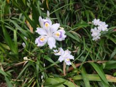 -南山风景名胜区