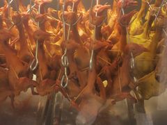 -鸽子侯·家宴·平价海鲜(绿地店)
