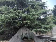 -侵华日军南京大屠杀遇难同胞纪念馆