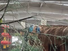 -南宫五洲植物乐园