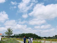 -光明小镇欢乐田园