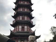 -黄贤森林公园