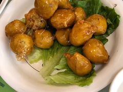 -椿记烧鹅(叠彩店)