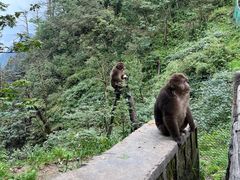 -峨眉山风景名胜区