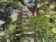 -云溪植物园
