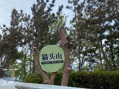 -妈妈手(山大总店)