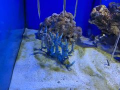 -多彩贵州城极地海洋世界