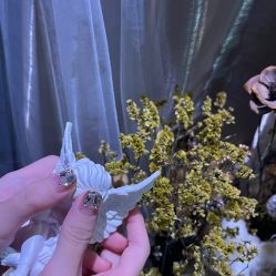 -1R日式轻奢美睫美甲翘睫