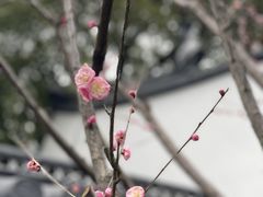 -汇龙潭