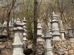 -天津盘山风景名胜区