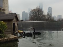 -南京圣和府邸豪华精选酒店