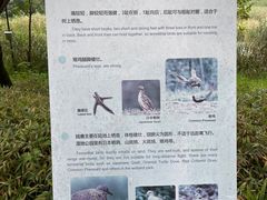 -同里国家湿地公园
