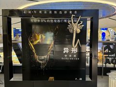 -万达影城(汉街万达广场IMAX店)