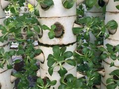 -北戴河集发农业梦想王国