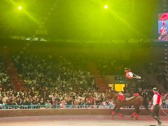 -俄罗斯国家大马戏团