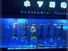 -泉城欧乐堡海洋极地世界