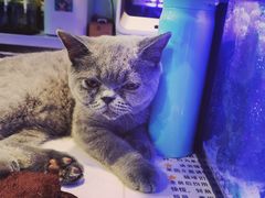 -平行世界·猫咖(首经贸店)