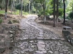 -仙霞关景区