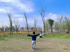 -春花秋色城市公园