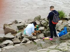 -南汇嘴观海公园